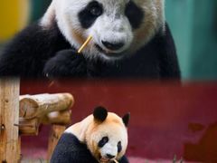 -杭州野生动物世界