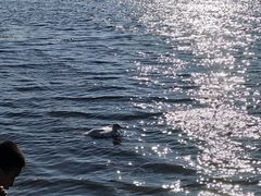 -长春市南湖公园