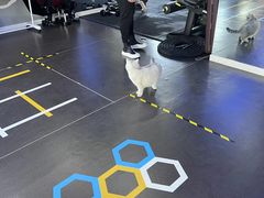 -M.S拳击泰拳馆(大学路店)