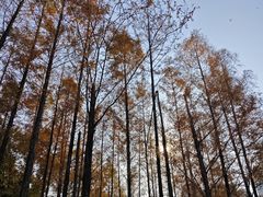 -牛岗山公园