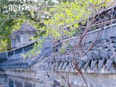 -嬉乐湾休闲旅游区