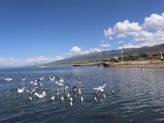 -青海湖国家重点风景名胜区