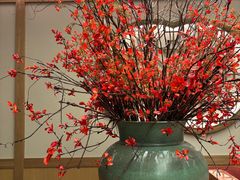 -南堂小馆·川菜馆(德商国际店)