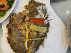 东海小黄鱼-骏莱海鲜鱼港(五角场店)