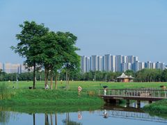 -洋湖国家湿地公园