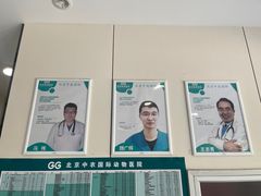 -中农国际动物医院24小时·猫科·骨科·急重症中心