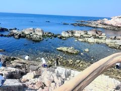 -养马岛旅游度假区