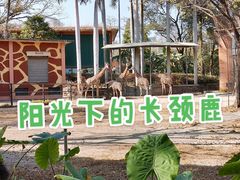 -广州动物园