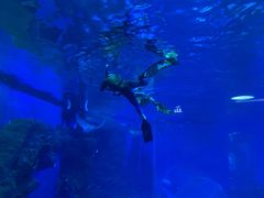 -成都浩海立方海洋公园