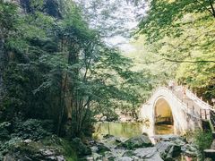 -牛背梁国家森林公园