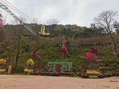 -木兰云雾山