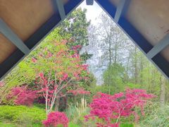 -上海滨江森林公园