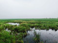 -野鸭湖国家湿地公园