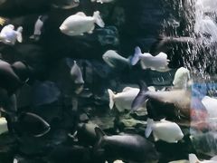 -成都浩海立方海洋公园