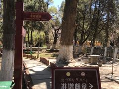 -罗布林卡