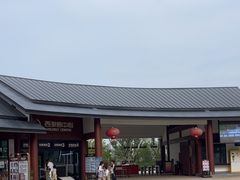 -江心屿景区