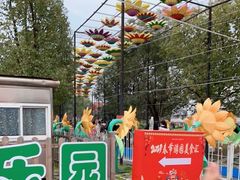 -武汉园博园(武汉自然博物馆)