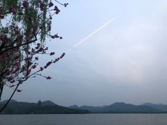 -柳莺湖上·湖景餐厅·江南菜(西湖店)