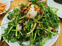 拌水芹菜-善女酱汤馆