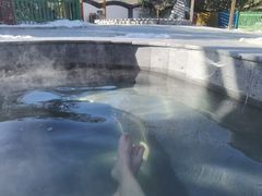 -稻香湖景欢乐岛温泉城堡
