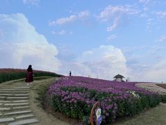 -径山花海