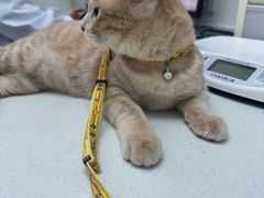 -心仪动物医院·牙专科·肿瘤·心脏科(西客站院)