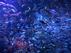 -成都浩海立方海洋公园