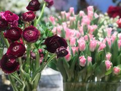 -植物学家的女儿(北马道巷店)