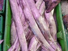 -芦潮港集贸市场