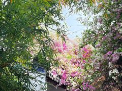 -深圳国际园林花卉博览园