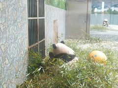 -西安秦岭野生动物园