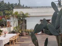 -悦哉·派对·草坪婚礼·围炉煮茶(三圣乡店)