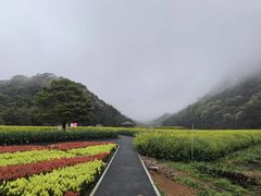 -广州市石门国家森林公园