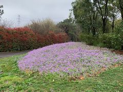 -南京汤山紫清湖生态旅游温泉度假区