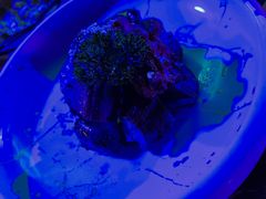 -MOSSO音乐酒吧·Live House(南京西路店)