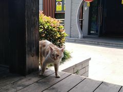 -白马涧龙池景区