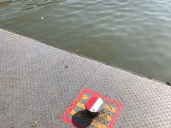 -西湖外事游船(湖滨二公园外事游船码头)