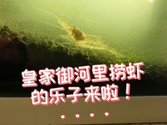 -皇家御河游(紫御湾码头)
