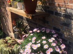 iphone_upload_pic-湖丝栈