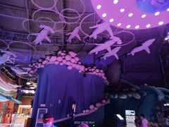 -烟台海昌鲸鲨海洋公园