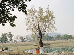 -桂溪生态公园