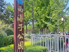 -西海子公园