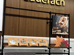 -Laderach 莱德拉(上海环贸iapm店)