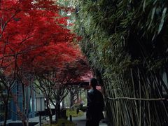 -湖滨客舍·湖北菜