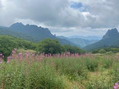 -秦岭风景区