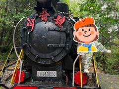 -五营红松林海景区