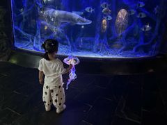 -江和美海洋公园