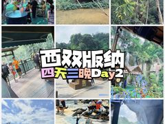 -西双版纳原始森林公园