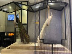 -火啫啫·粤式啫啫煲(南通首店)