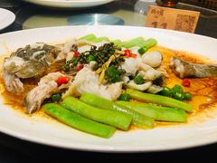 鲜花椒蒸桂花鲈-猪肉婆私房菜(容桂总店)